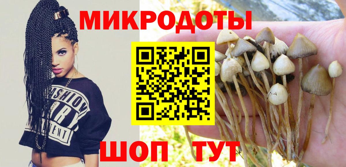 Галлюциногенные грибы мицелий  Вход с VPN  Солнечногорск 